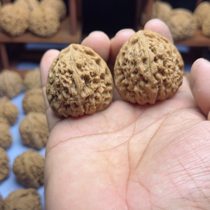 完全开放臭**?南疆石核桃