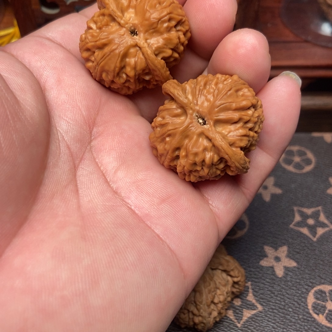 大叶紫檀（黑酸枝木类）