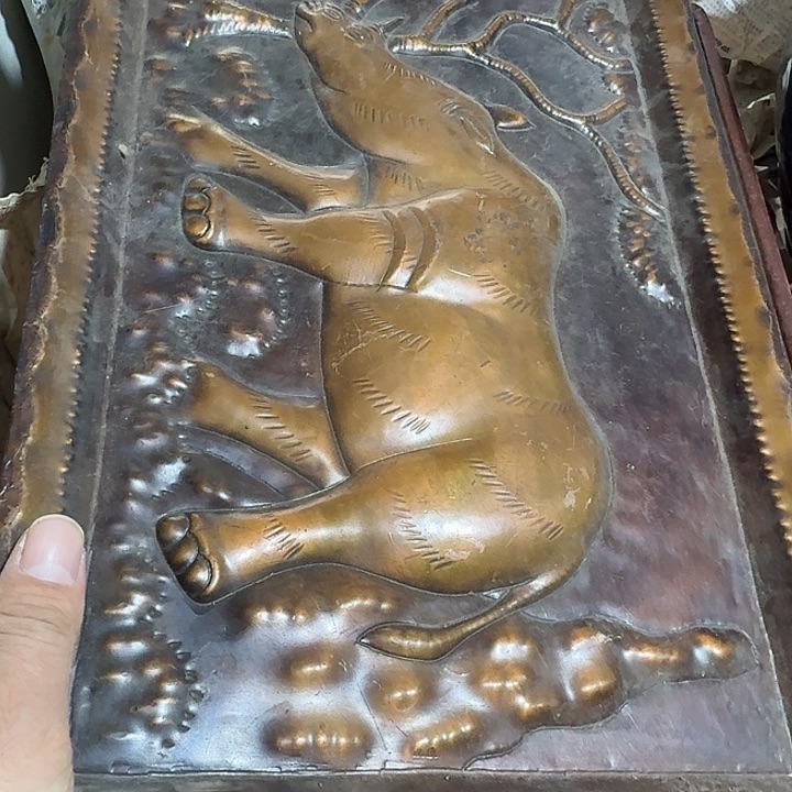 龙***化扇子故哈哈哈哈哈哈哈哈哈哈