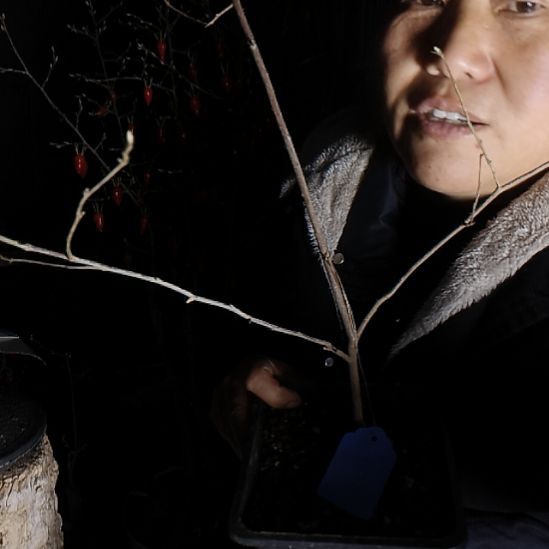 朝***水无花朵42558855888888