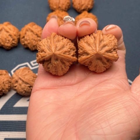 橄榄核手串/手链文山三棱34