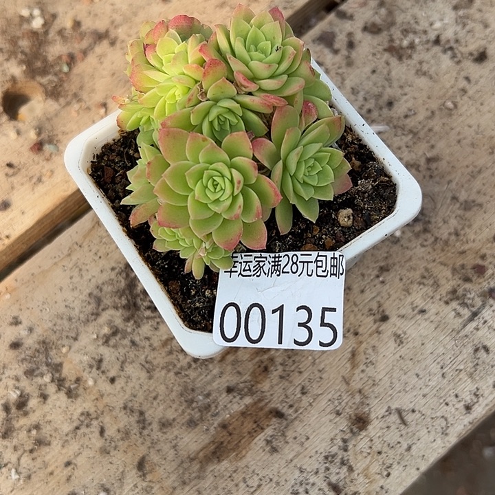 素***心幸运的人会遇到你喜欢你喜欢