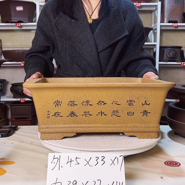 紫砂花盆紫砂花盆