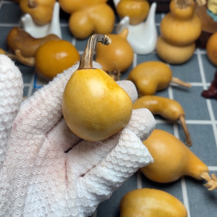 朵***朵葫芦66666666666666