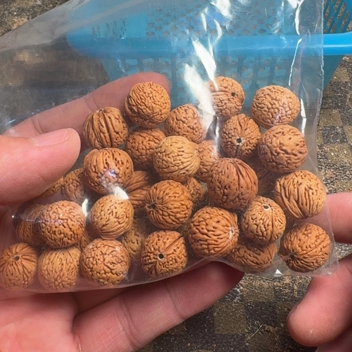 泛***桃核吊坠66666666666