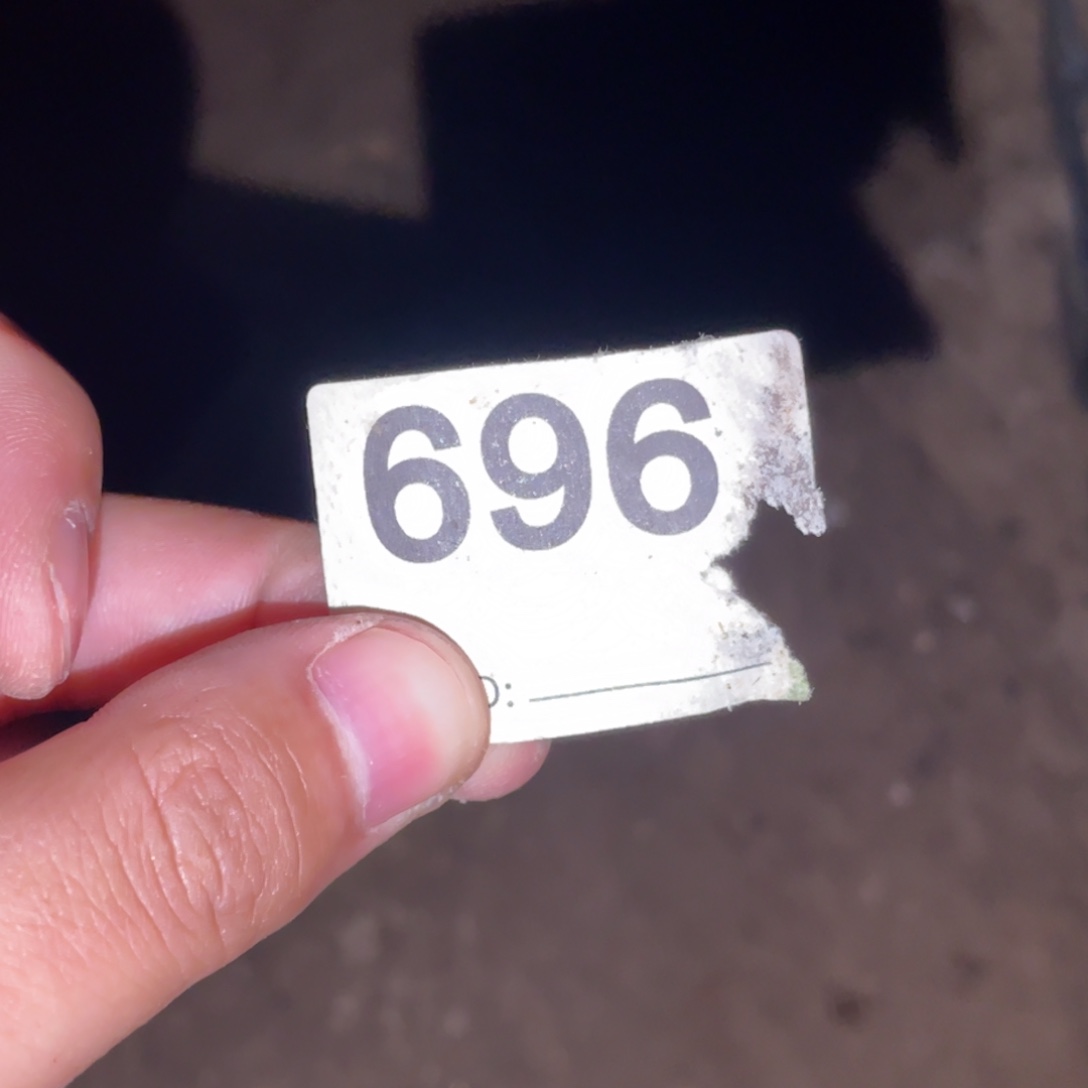 无花朵三头连体696