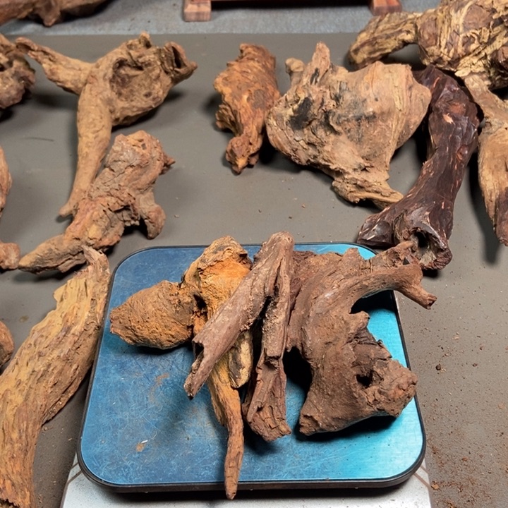 黄花梨/降香黄檀拂*