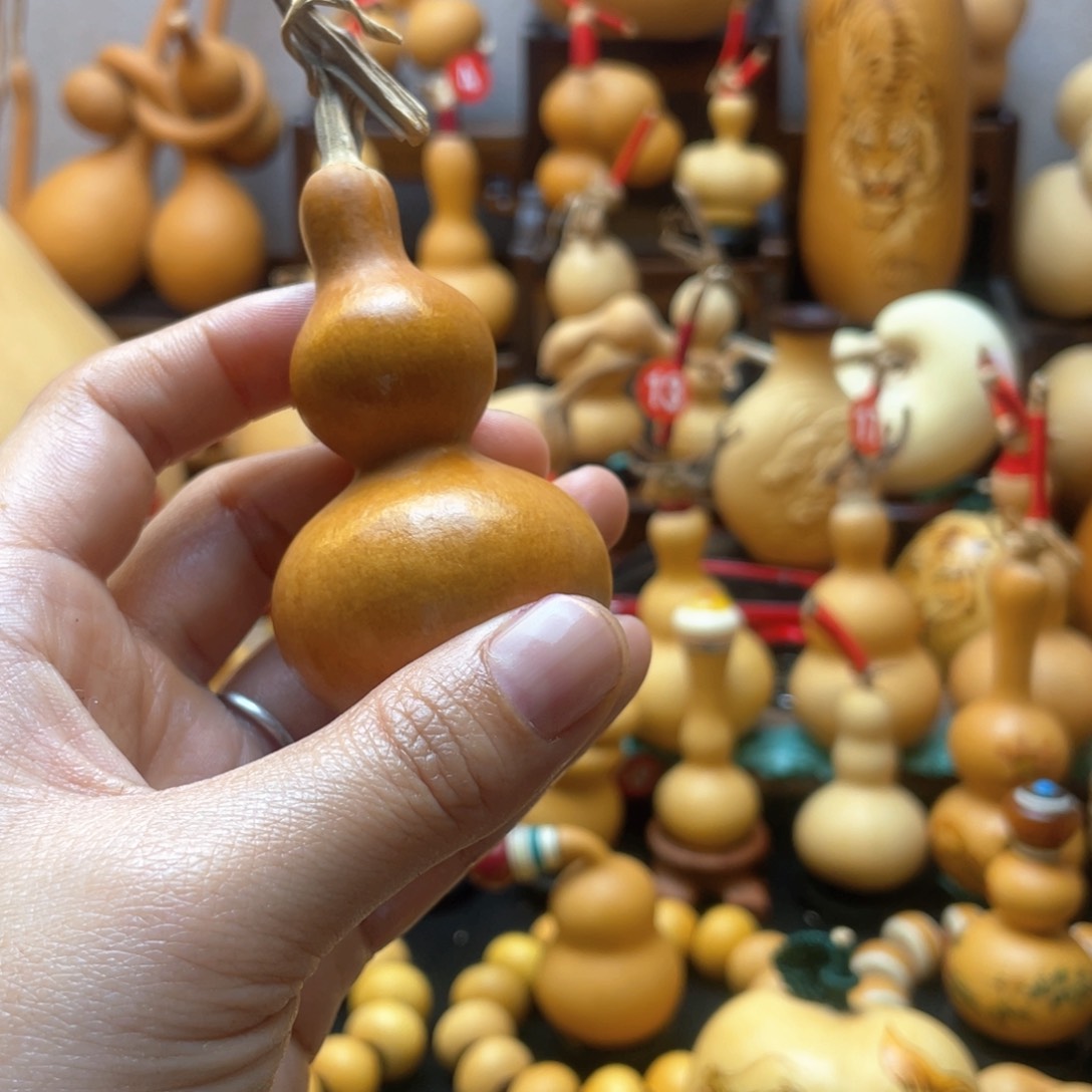 筝*大自然的秘密第十一节你是谁