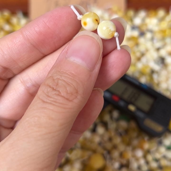 蜜蜡未镶嵌裸石7.4mm一对