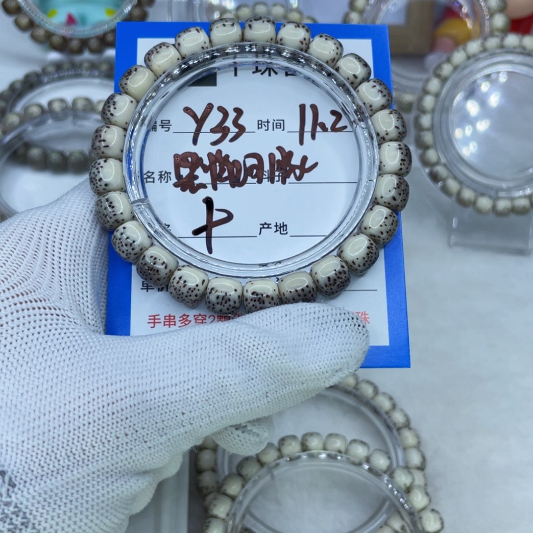 菩提籽类Y33黑背河豚