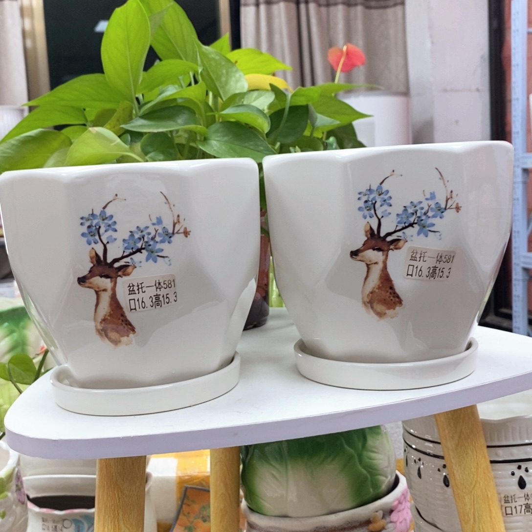 @夏西陶瓷花盆@@5581