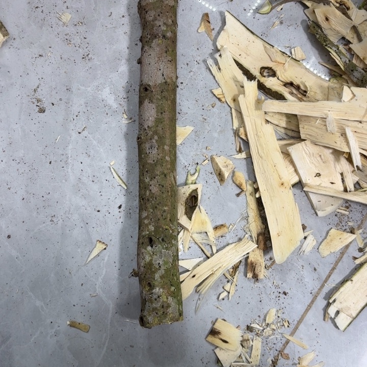 梦***人木糖结原木发一份