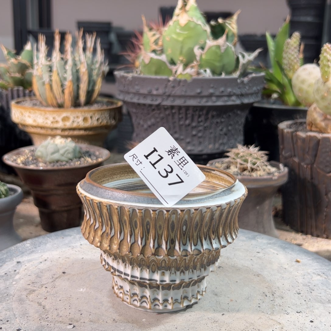 景德镇手工素里没有内口9.5高8