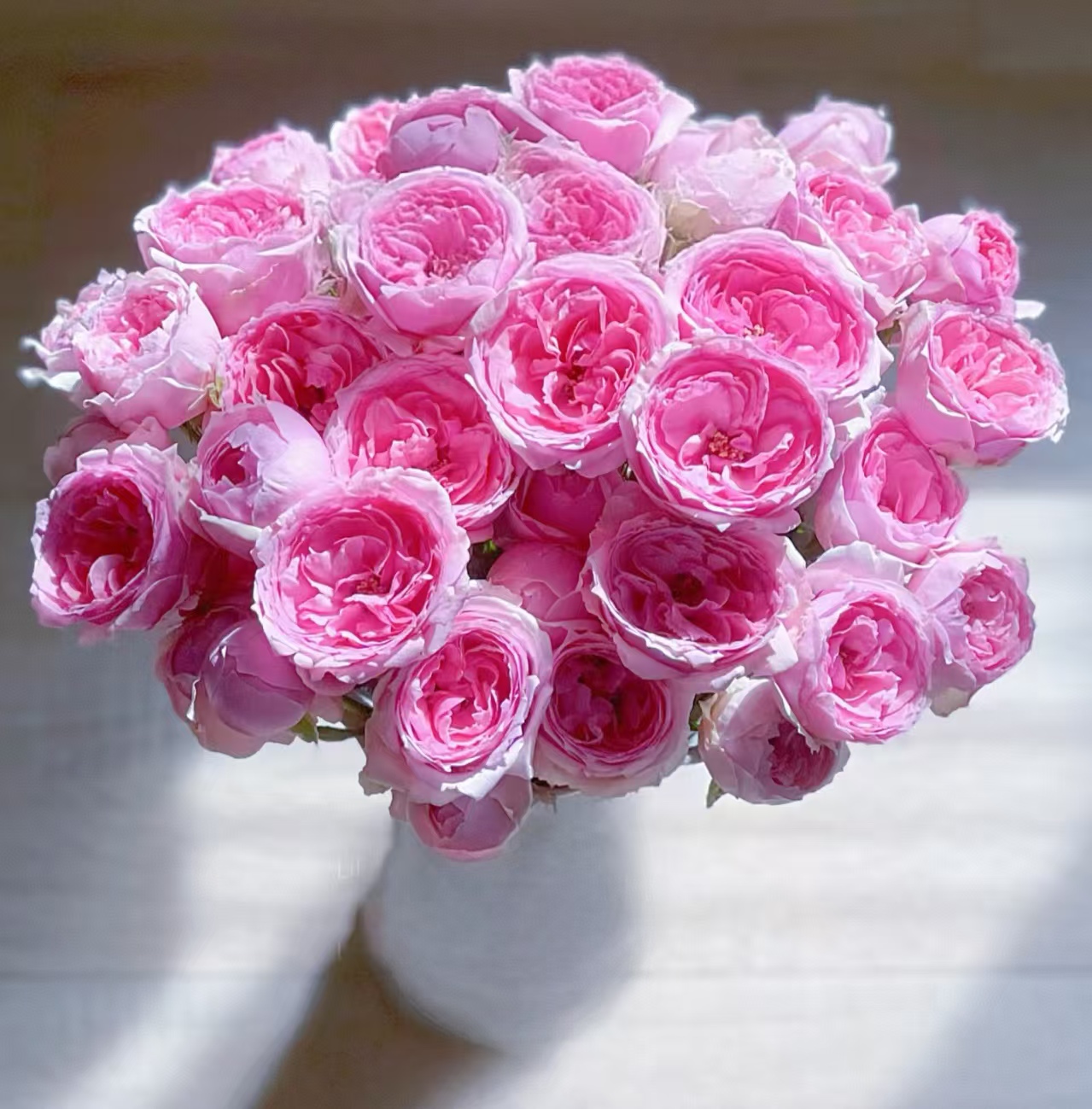 【独鬏鬏优选】A级鲜花 [草莓变色龙] 多头玫瑰 新鲜采摘鲜活冷链