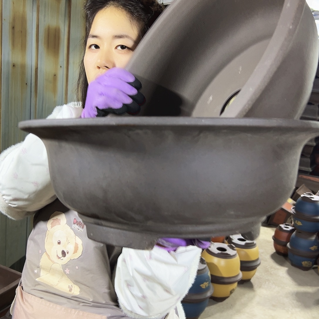 40+40紫泥碗盆花盆花盆