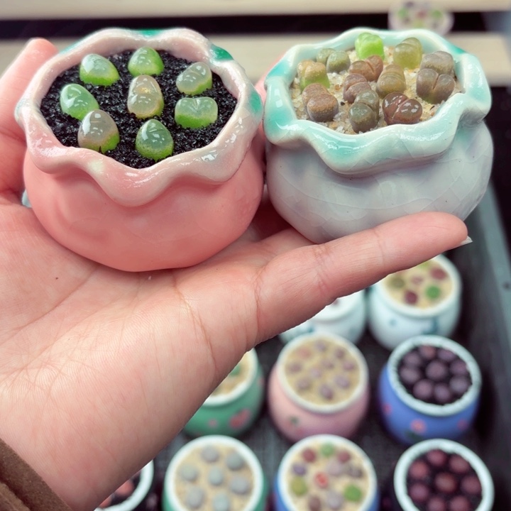 525凑满18包邮零下地区记得拍保温箱