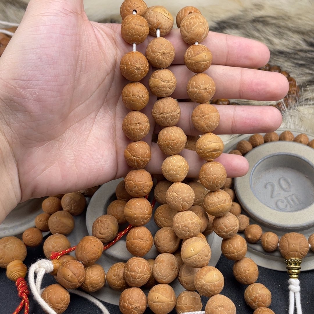 手串凤眼菩提C13-k5凤眼菩提开播福利15+