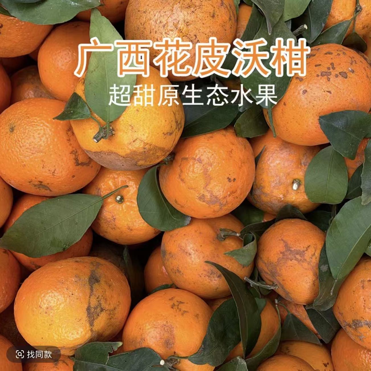 【福利款】广西花皮沃柑新鲜当季水果皮薄多汁香甜柑橘