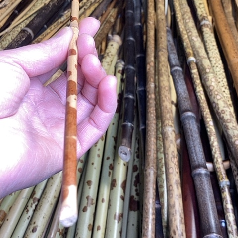 春*精美湘妃竹一个起拍