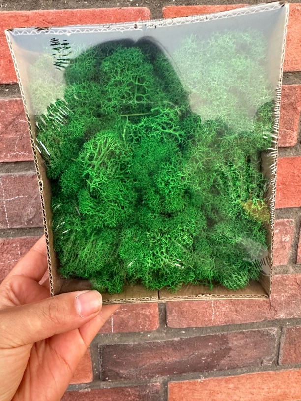 雪丽专属永生苔藓链接