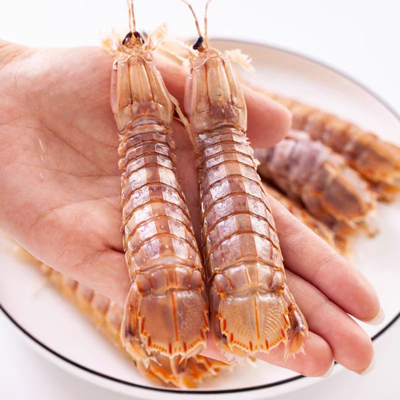 【三斤熟冻大号皮皮虾】台州本地特色熟冻虾姑富贵虾皮皮虾顺丰包邮