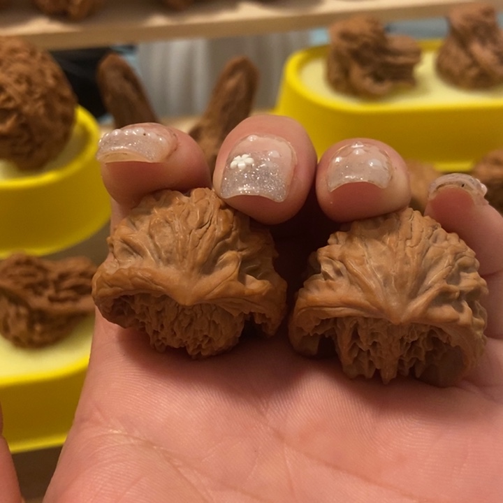 官方网站也将陆续