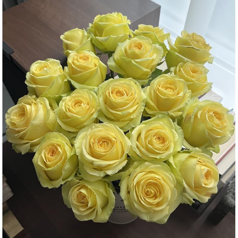 【浪漫沙滩】单头玫瑰 真花鲜切花云一单中通 拍够任意两单鲜花顺丰