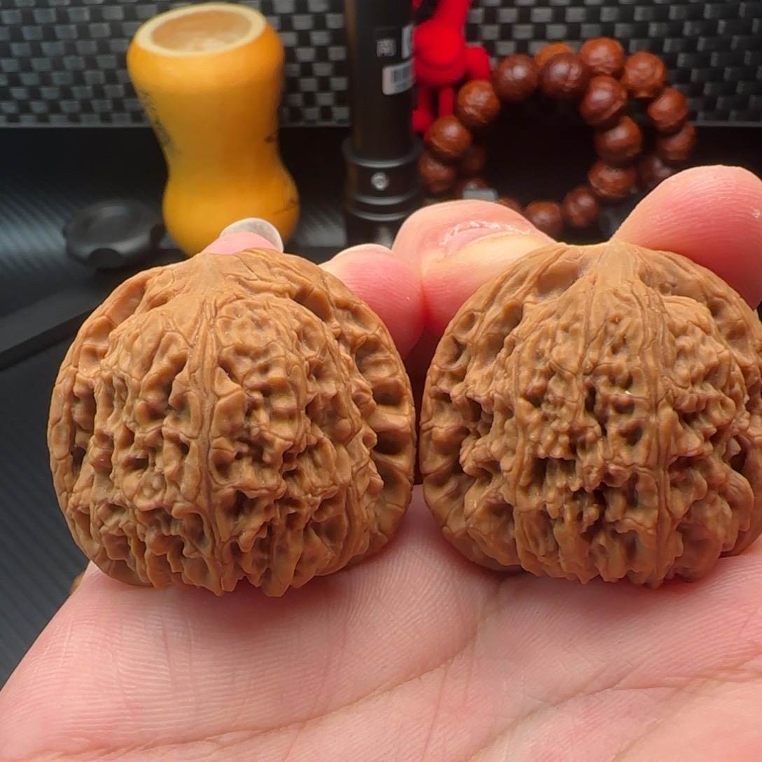 业***手核桃南疆石涿鹿一代