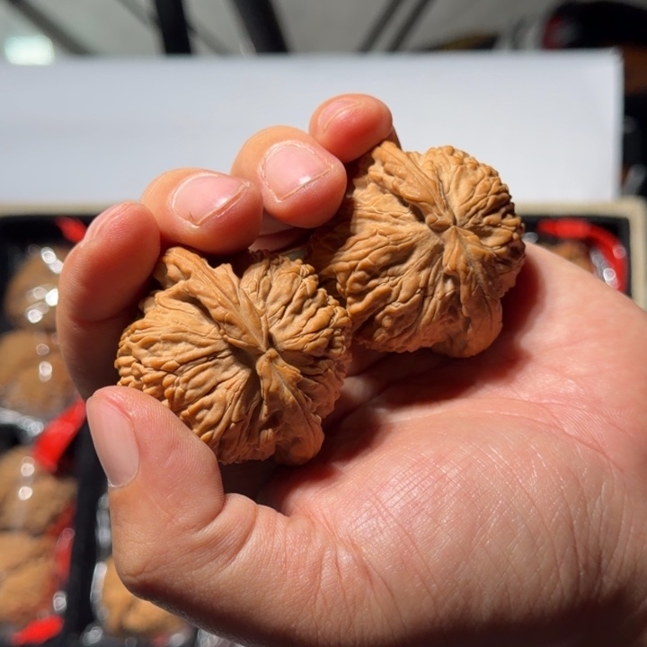 文玩核桃把件997号全品白狮子46-48mm