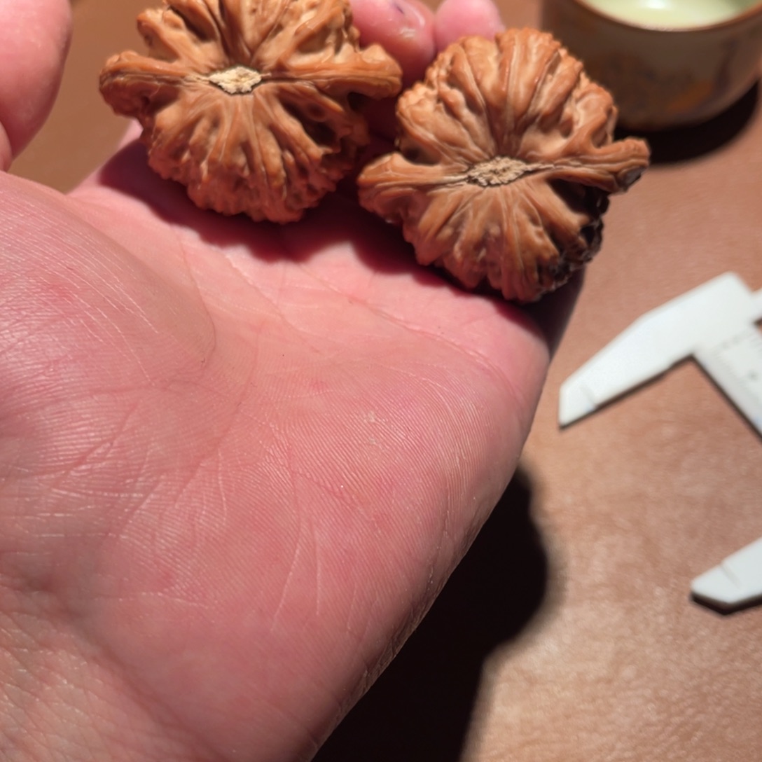 核桃手串/手链99白狮子