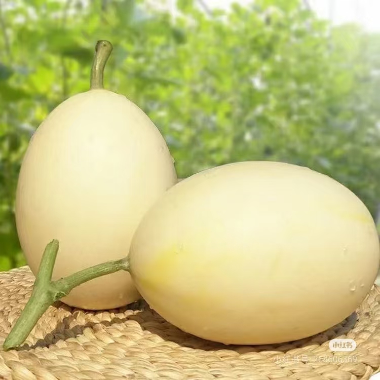 各种香甜口感甜瓜约500-3000g