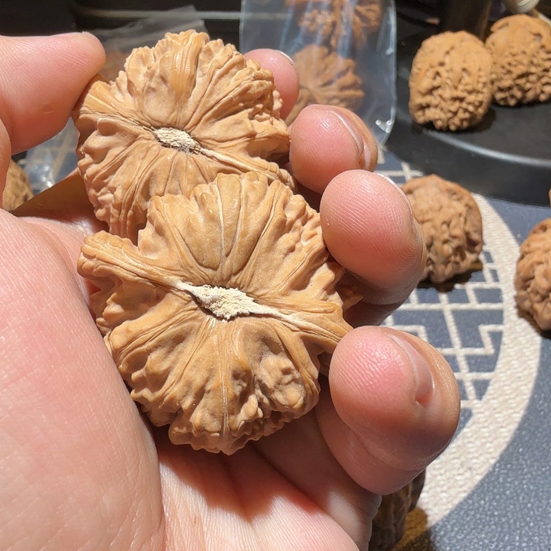 文玩核桃把件铭**心白狮子