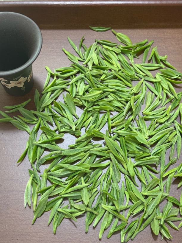 白茶4-安吉大溪横坑坞白茶祖白茶