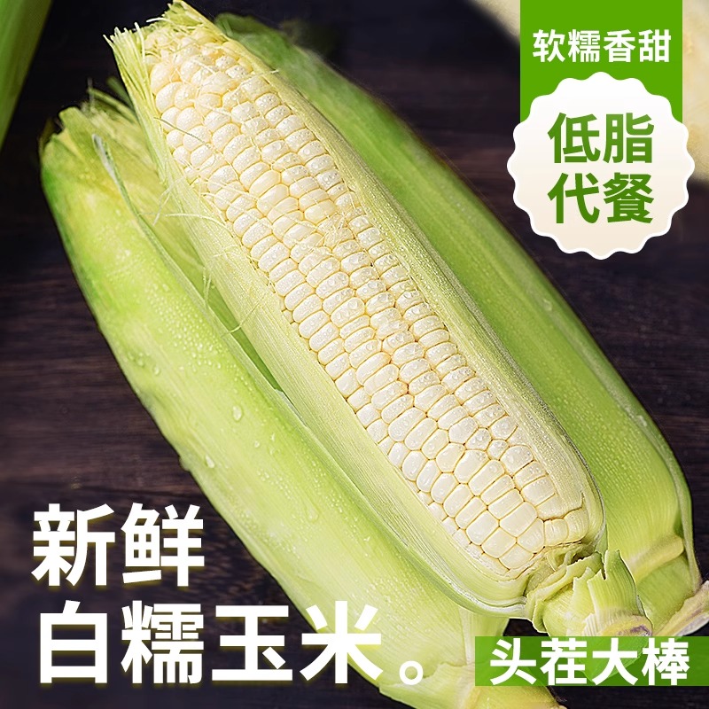 新鲜采摘黏玉米 白糯玉米 新鲜玉米河北省 河北省黏玉米河北省