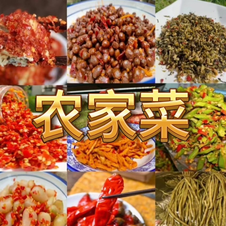 【班长代卖】陈婆婆坛子农家菜 炒肉拌饭 无防腐 天热易坏 介意勿拍
