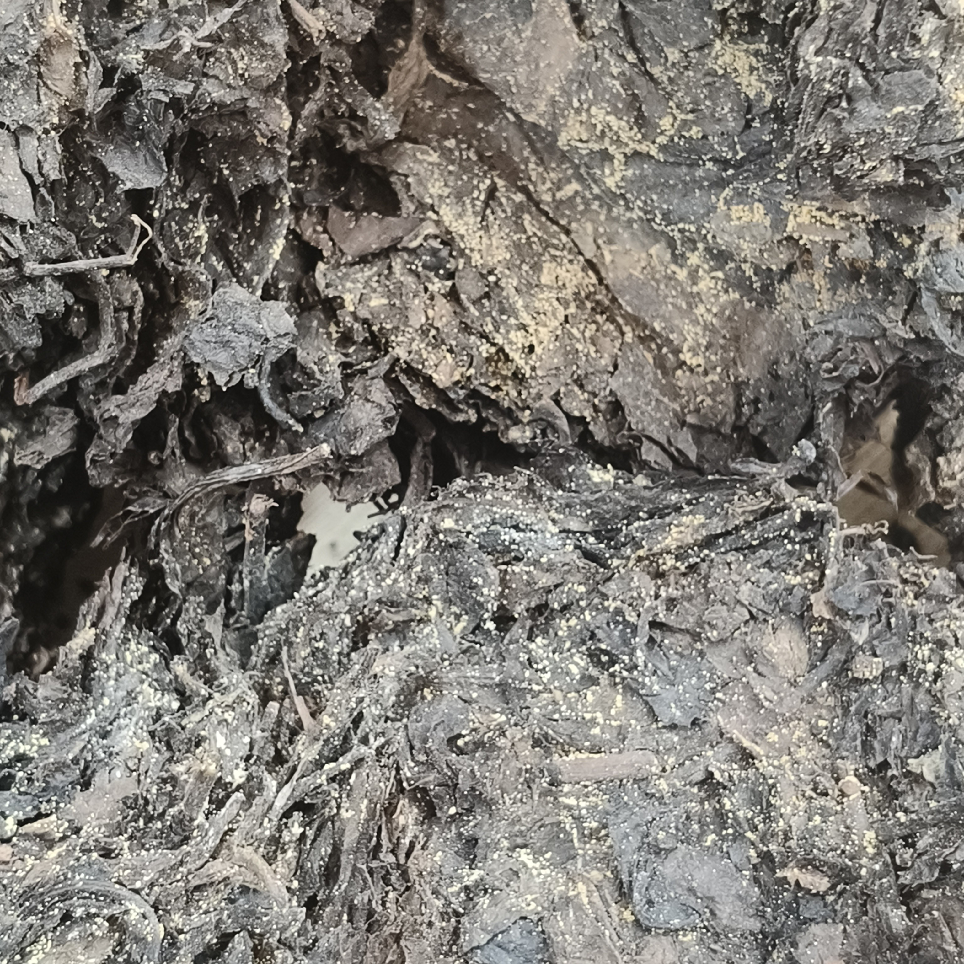 自然发花散装金花百两