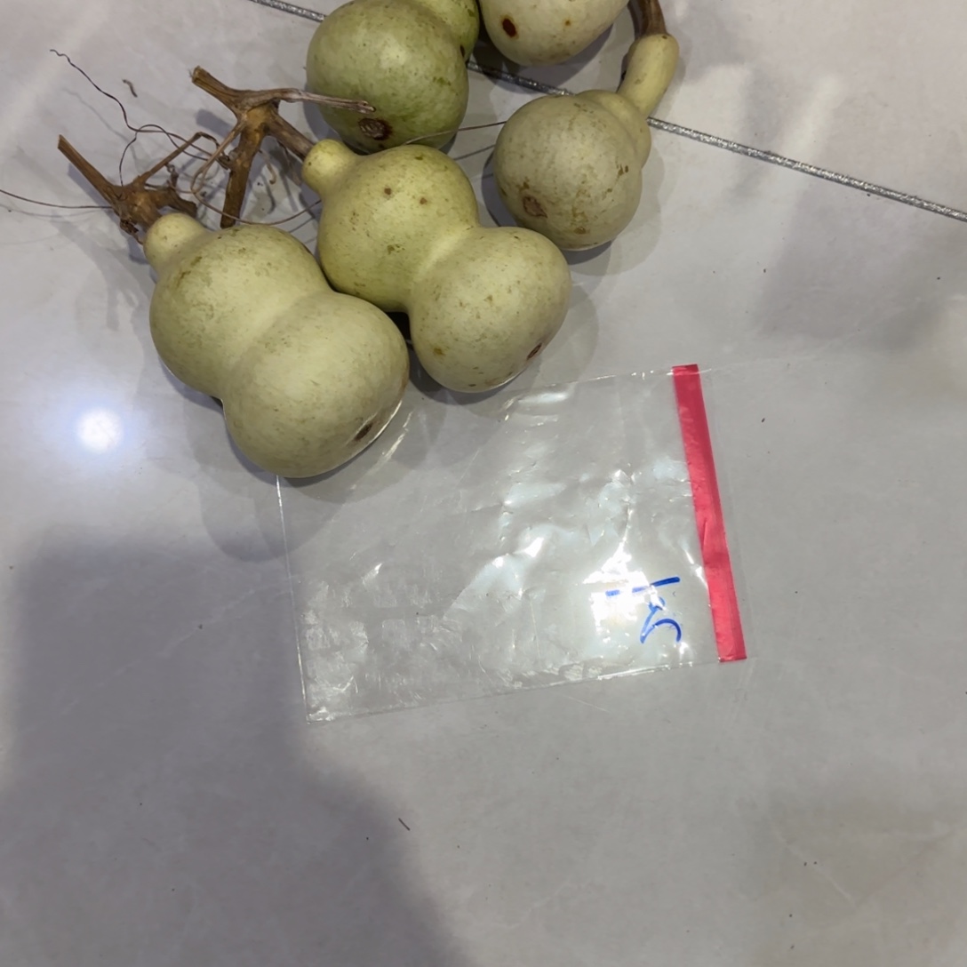 心***界青皮不包成，，，，，，，，，，