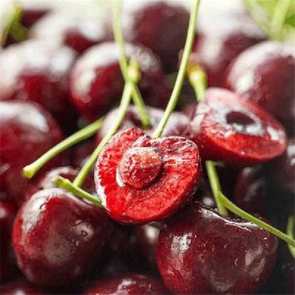 都乐空运桑提娜车厘子JJ级桑提娜酸甜可口配送上门内附果径卡1斤5斤（3%坏果损耗率）桑提娜