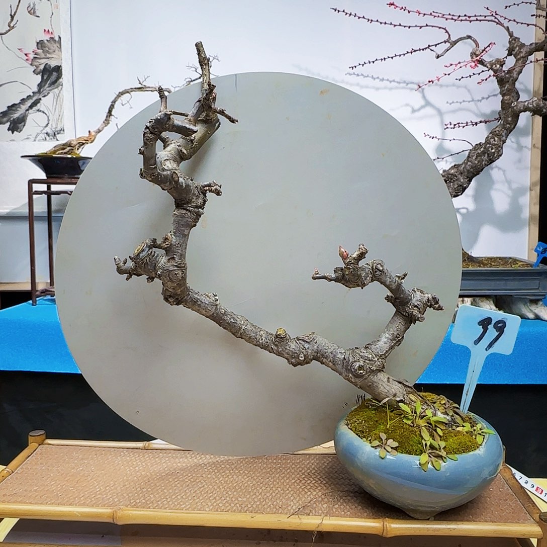 无铅玻璃叶****李d f g h k k k l