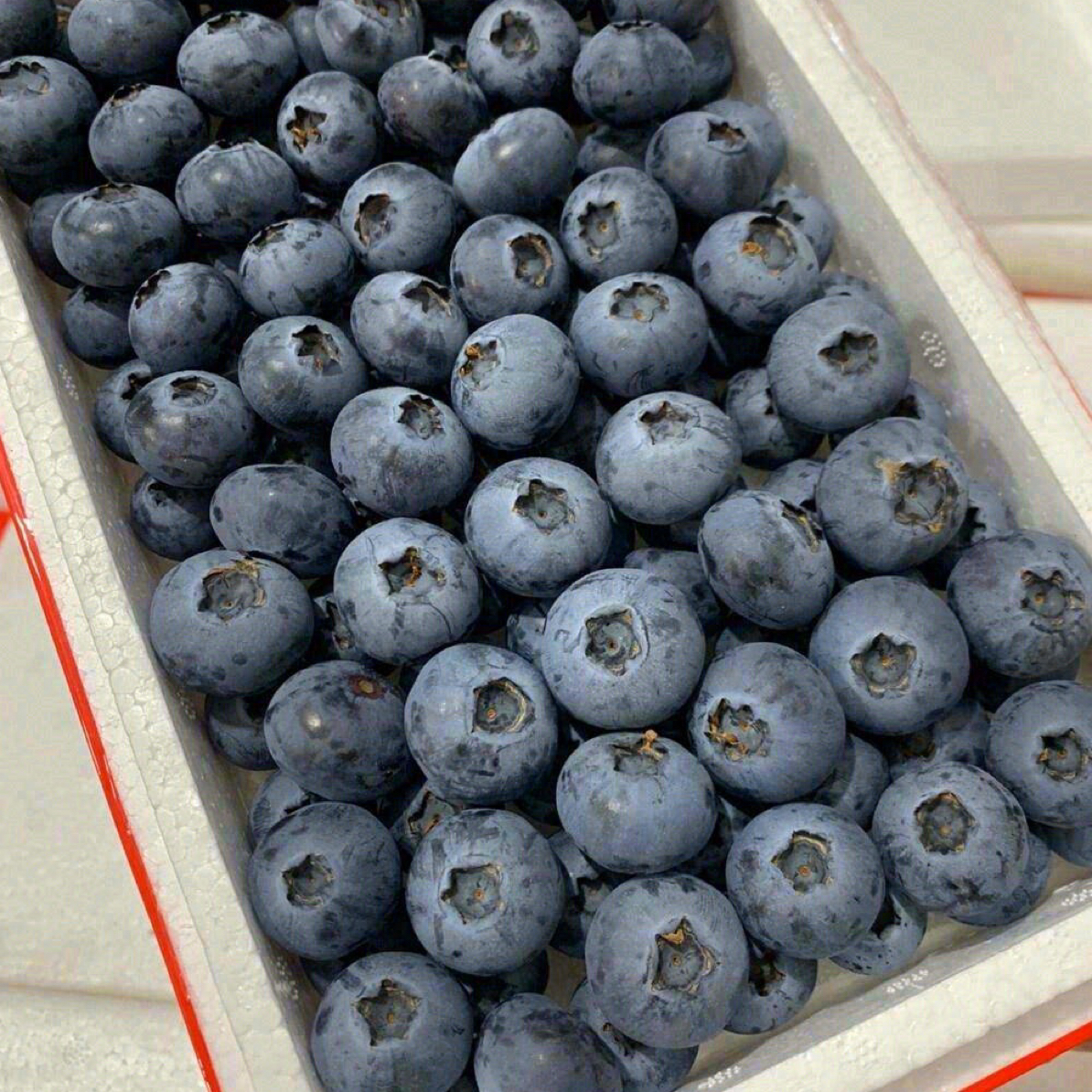 （两箱福利）24➕ 云南 L25 花香蓝莓泡沫箱装净重 8 两左右花香纯甜脆口