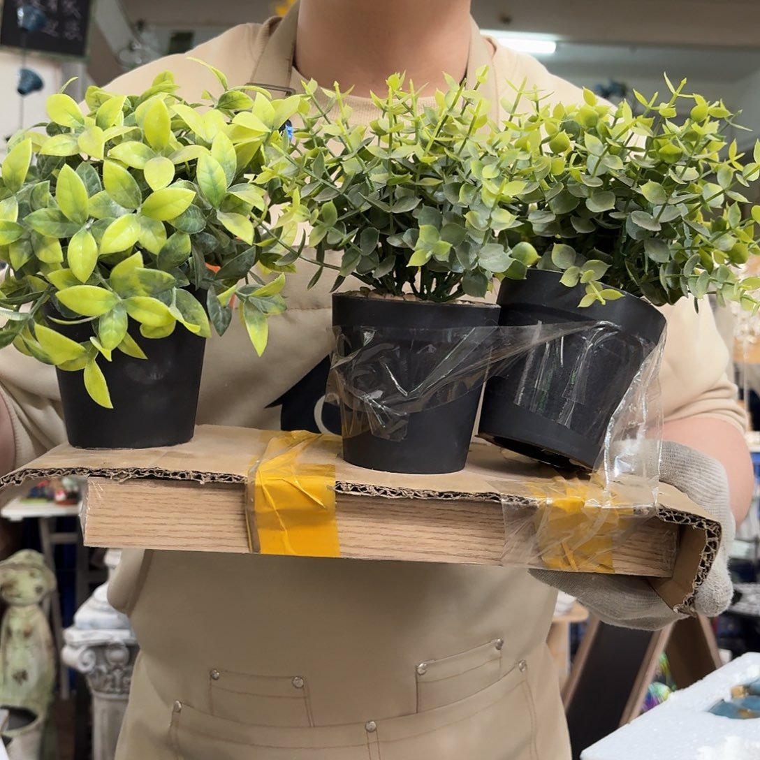 核桃木/黑胡桃（胡桃木）