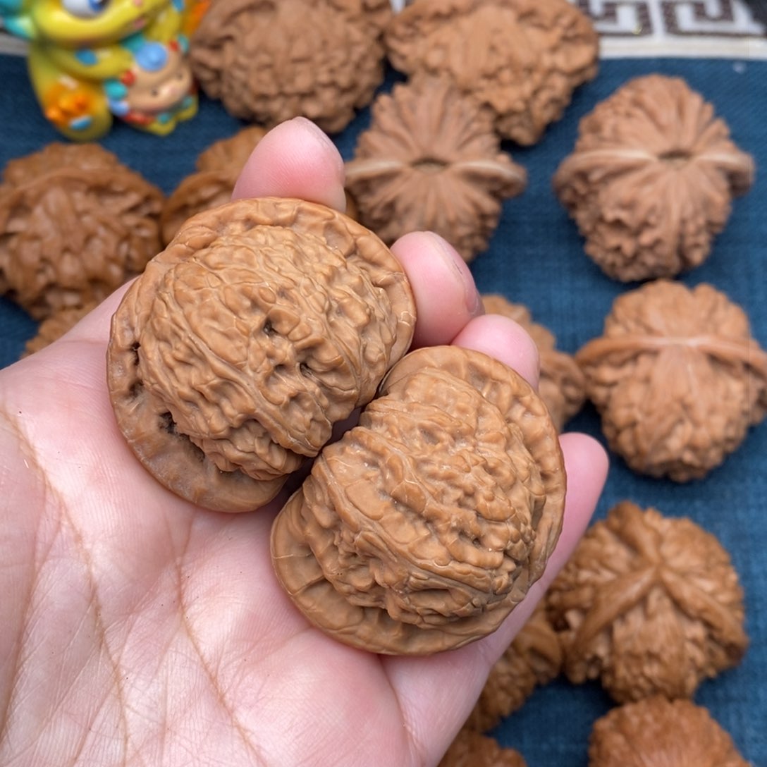 文玩核桃把件所***得42精品白狮子全品