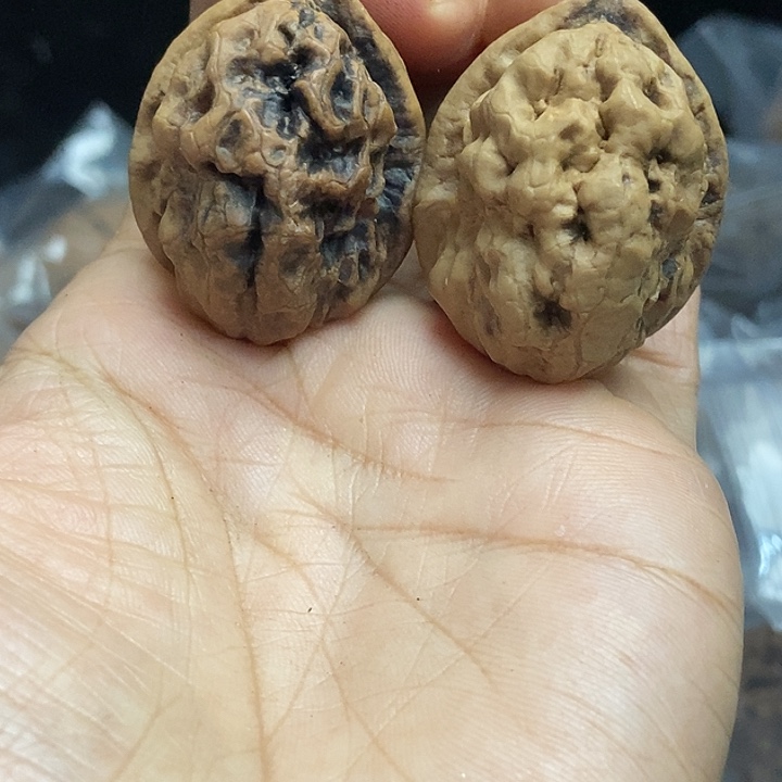 把件文玩核桃云南铁核桃基地100