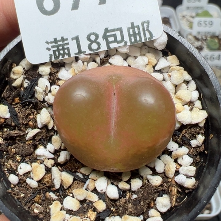 【闪购商品】677……