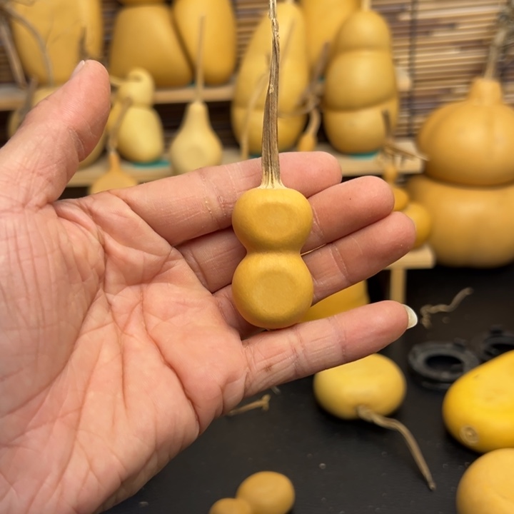 ?*?336666666555666625