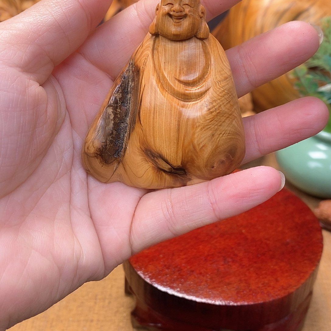 柏木（崖柏）一物一图