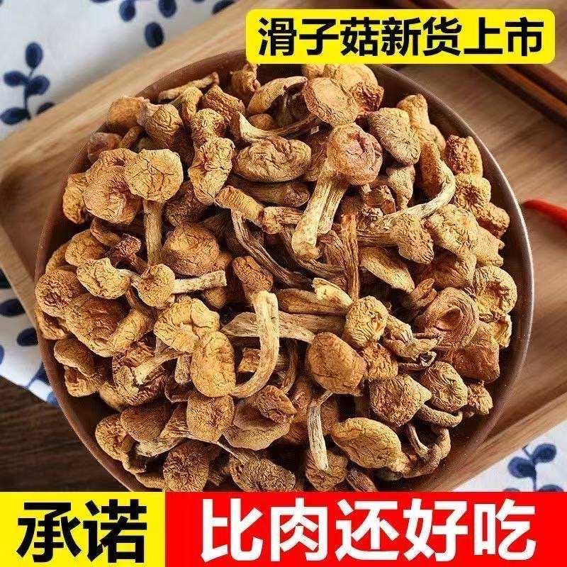 【助农】新货滑子菇干货小黄菇滑菇滑蘑香菇无硫熏剪根大兴安岭蘑菇