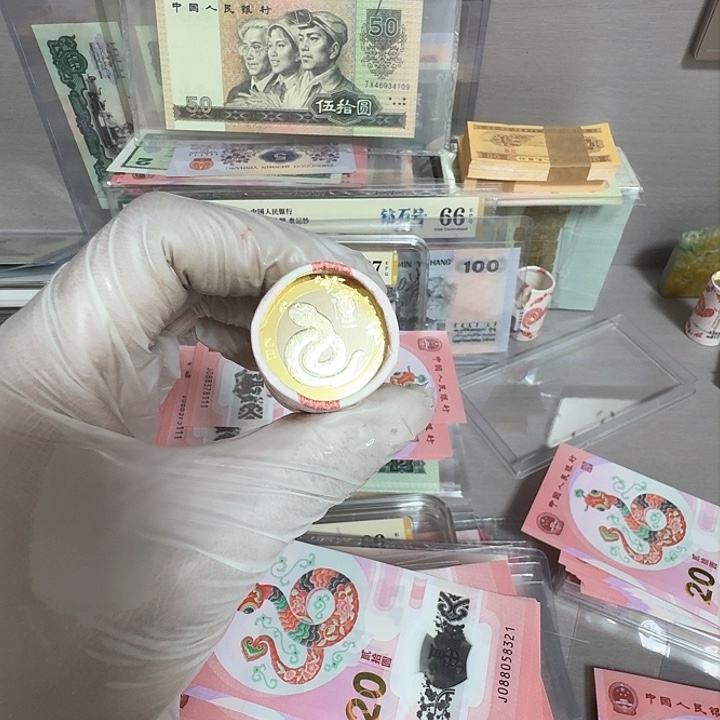 蛇币整卷原卷20枚好的