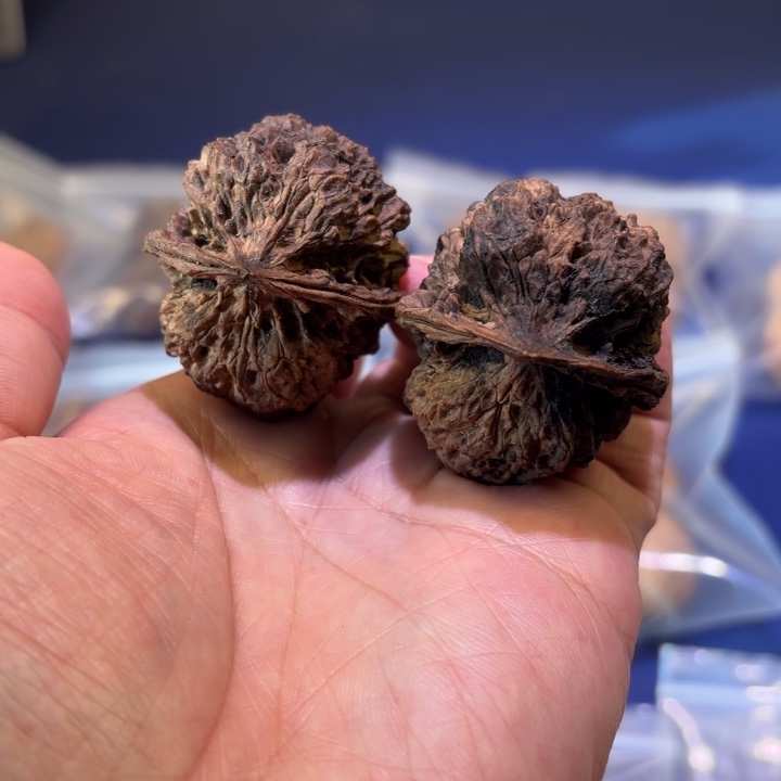 文玩核桃吊坠古树蛤么