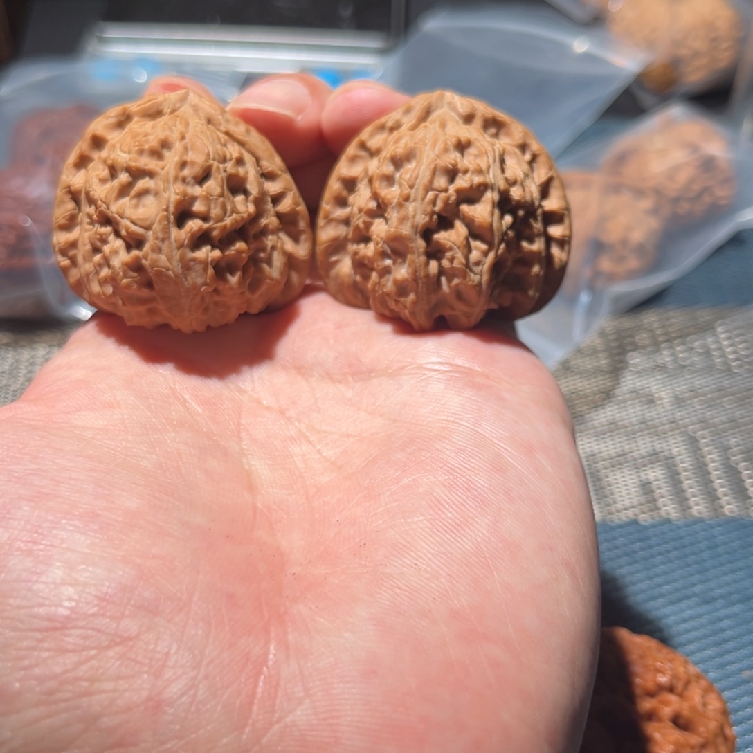 核桃全品无修三角白狮子头